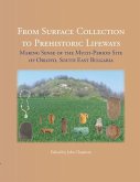 From Surface Collection to Prehistoric Lifeways (eBook, ePUB)