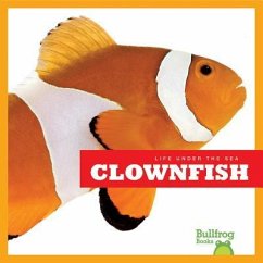 Clown Fish - Meister, Cari