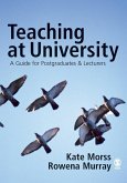 Teaching at University (eBook, PDF)