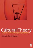 Cultural Theory (eBook, PDF)
