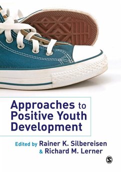 Approaches to Positive Youth Development (eBook, PDF)
