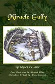Miracle Gully (eBook, ePUB)