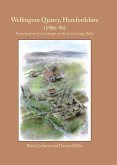 Wellington Quarry, Herefordshire (1986-96) (eBook, ePUB)