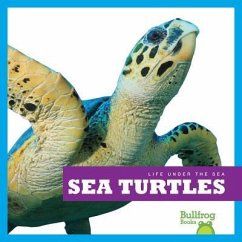 Sea Turtles - Meister, Cari