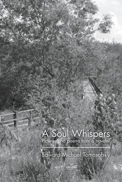 Cover Soul Whispers (eBook, ePUB)