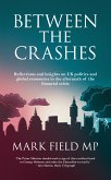 Between the Crashes (eBook, ePUB)