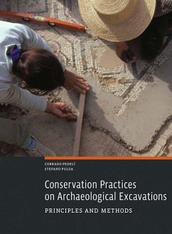 Conservation Practices on Archaeological Excavations - Pedelì, Corrado; Pulga, Stefano