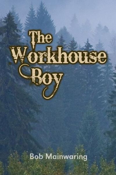 Workhouse Boy (eBook, PDF)