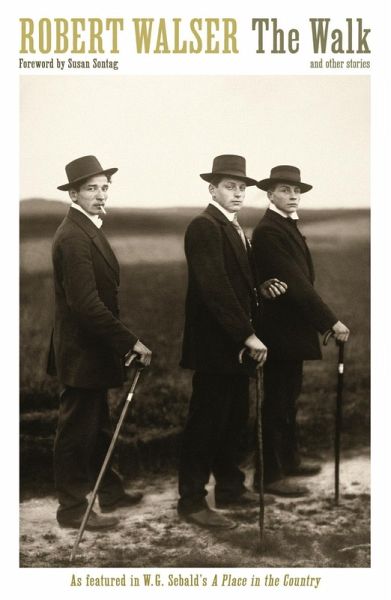 The Walk (eBook, ePUB)