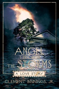 Cover Angel Through the Storms (eBook, ePUB)