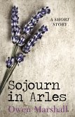Sojourn in Arles (eBook, ePUB)