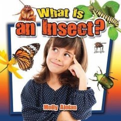 What Is an Insect? - Aloian, Molly