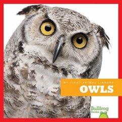 Owls - Rustad, Martha E H