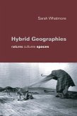 Hybrid Geographies (eBook, PDF)