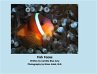 Fish Faces (eBook, ePUB) - Bild 1