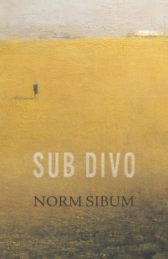 Sub Divo (eBook, ePUB) - Sibum, Norm