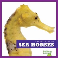 Sea Horses - Meister, Cari