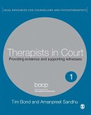 Therapists in Court (eBook, PDF)