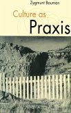 Culture as Praxis (eBook, PDF)