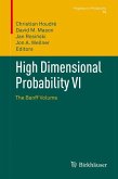 High Dimensional Probability VI (eBook, PDF)