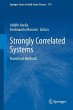 Strongly Correlated Systems (eBook, PDF) - Bild 1