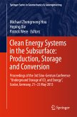 Clean Energy Systems in the Subsurface: Production, Storage and Conversion (eBook, PDF)