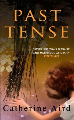 Cover Past Tense (eBook, ePUB)