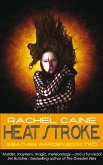 Heat Stroke (eBook, ePUB)