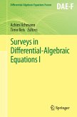 Surveys in Differential-Algebraic Equations I (eBook, PDF)