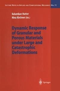 Dynamic Response of Granular and Porous Materials under Large and Catastrophic Deformations (eBook, PDF)