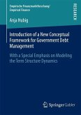 Introduction of a New Conceptual Framework for Government Debt Management (eBook, PDF)