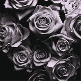With Love With Love