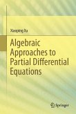 Algebraic Approaches to Partial Differential Equations (eBook, PDF)