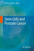 Stem Cells and Prostate Cancer (eBook, PDF)