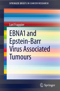 EBNA1 and Epstein-Barr Virus Associated Tumours (eBook, PDF) - Frappier, Lori