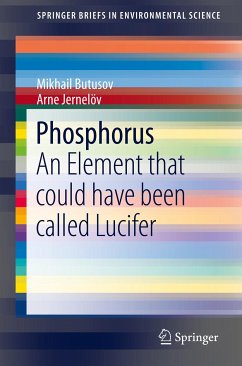 Phosphorus (eBook, PDF) - Butusov, Mikhail; Jernelöv, Arne