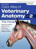 Color Atlas of Veterinary Anatomy, Volume 2, The Horse (eBook, ePUB)