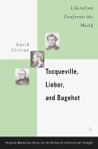 Tocqueville, Lieber, and Bagehot (eBook, PDF)