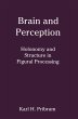 Brain and Perception (eBook, PDF) - Bild 1