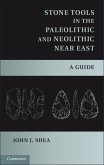 Stone Tools in the Paleolithic and Neolithic Near East (eBook, PDF)