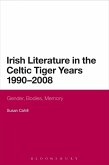 Irish Literature in the Celtic Tiger Years 1990 to 2008 (eBook, ePUB)