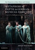 Metaphors of Depth in German Musical Thought (eBook, PDF)