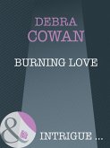 Burning Love (eBook, ePUB)