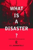 What is a Disaster? (eBook, PDF)