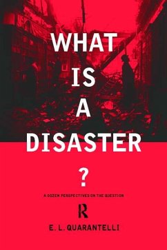 What is a Disaster? (eBook, PDF)