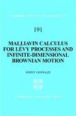 Malliavin Calculus for Levy Processes and Infinite-Dimensional Brownian Motion (eBook, PDF)