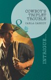 Cowboy's Triplet Trouble (Mills & Boon Intrigue) (Top Secret Deliveries, Book 6) (eBook, ePUB)