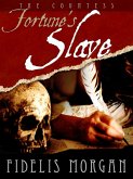 Fortune's Slave (eBook, ePUB)