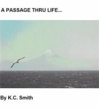 PASSAGE THRU LIFE (eBook, ePUB)