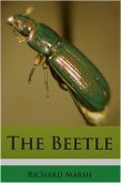 Beetle (eBook, ePUB)